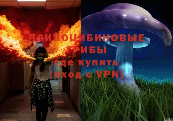 соль ск Алексин